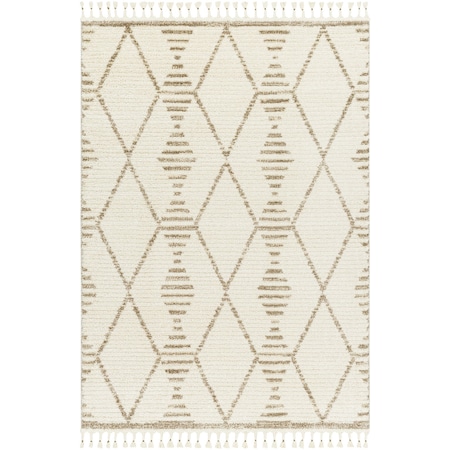 Valencia VLC-2319 Area Rug , With Fringe